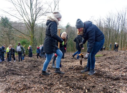 LWL-Klinik Hemer. Pflanzaktion Azubi-Bäume.