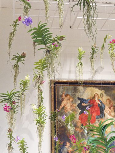 Palastblühen 2026 - Kunstpalast Düsseldorf in voller Blüte