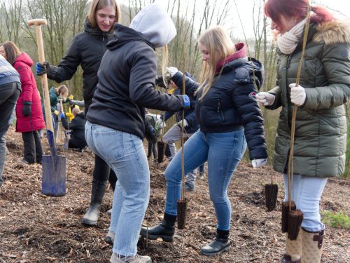 LWL-Klinik Hemer. Pflanzaktion Azubi-Bäume.