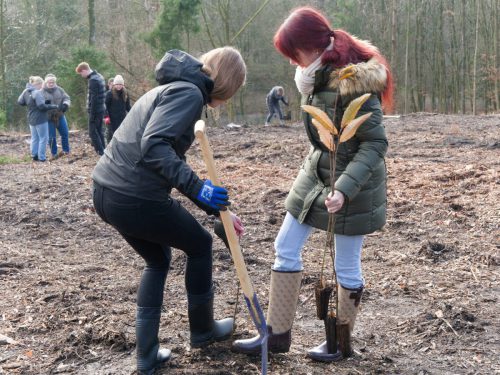 LWL-Klinik Hemer. Pflanzaktion Azubi-Bäume.