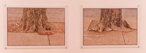 Das soziale Leben der Dinge - Nina Beier - David Hammons - Zoe Leonard - MGK Siegen