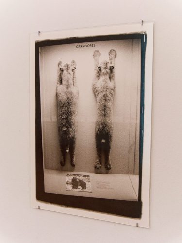 Das soziale Leben der Dinge - Nina Beier - David Hammons - Zoe Leonard - MGK Siegen