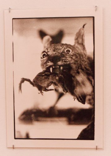 Das soziale Leben der Dinge - Nina Beier - David Hammons - Zoe Leonard - MGK Siegen