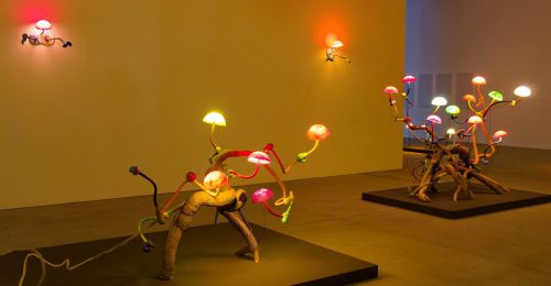 Lehmbruck Museum, Mika Rottenberg. Queer Ecology