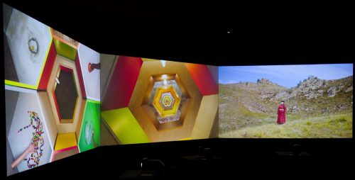 Lehmbruck Museum, Mika Rottenberg. Queer Ecology