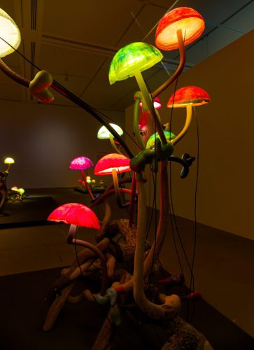 Lehmbruck Museum, Mika Rottenberg. Queer Ecology