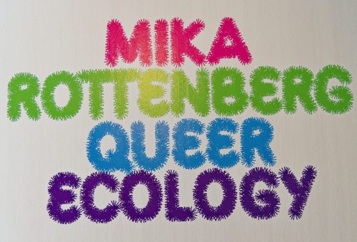 Lehmbruck Museum, Mika Rottenberg. Queer Ecology