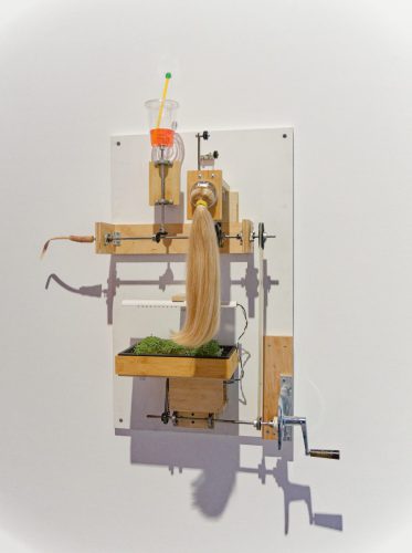 Lehmbruck Museum, Mika Rottenberg. Queer Ecology