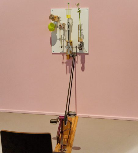 Lehmbruck Museum, Mika Rottenberg. Queer Ecology