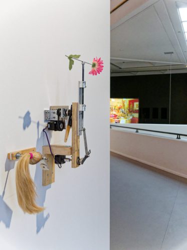 Lehmbruck Museum, Mika Rottenberg. Queer Ecology