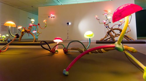 Lehmbruck Museum, Mika Rottenberg. Queer Ecology