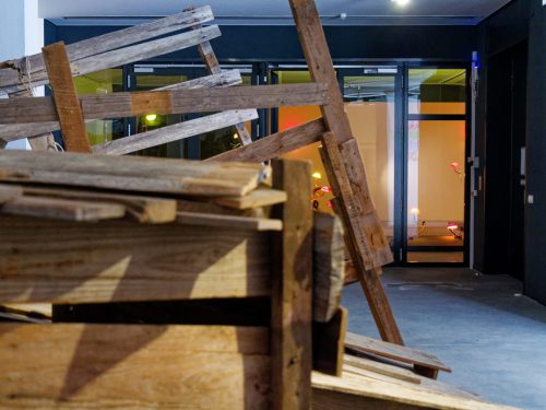 Lehmbruck Museum, Mika Rottenberg. Queer Ecology