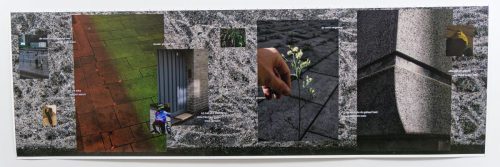 Kunsthalle Düsseldorf - Ausstellung/Projektraum Wohin?