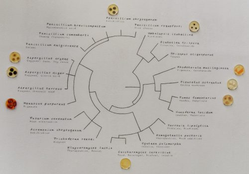 Kunsthalle Düsseldorf - Ausstellung/Projektraum Wohin?