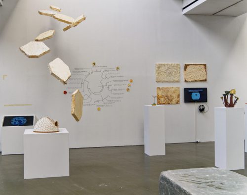 Kunsthalle Düsseldorf - Ausstellung/Projektraum Wohin?