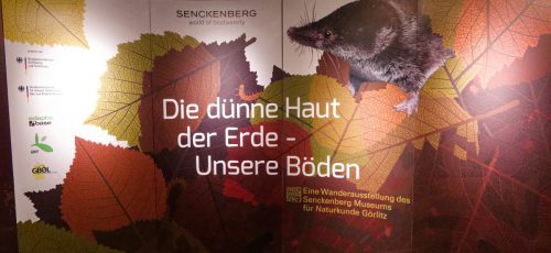 Naturmuseum Dortmund - Sonderausstellung Die dünne Haut der Erde - Unsere Böden