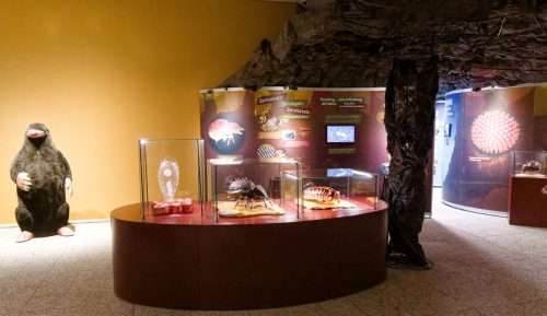 Naturmuseum Dortmund - Sonderausstellung Die dünne Haut der Erde - Unsere Böden