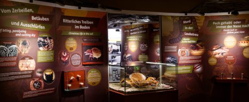 Naturmuseum Dortmund - Sonderausstellung Die dünne Haut der Erde - Unsere Böden