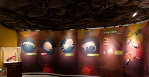 Naturmuseum Dortmund - Sonderausstellung Die dünne Haut der Erde - Unsere Böden