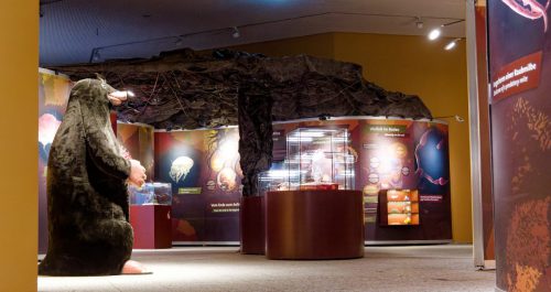 Naturmuseum Dortmund - Sonderausstellung Die dünne Haut der Erde - Unsere Böden