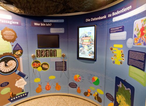 Naturmuseum Dortmund - Sonderausstellung Die dünne Haut der Erde - Unsere Böden