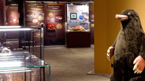 Naturmuseum Dortmund - Sonderausstellung Die dünne Haut der Erde - Unsere Böden