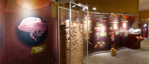 Naturmuseum Dortmund - Sonderausstellung Die dünne Haut der Erde - Unsere Böden